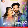 About Nedi Karjo Dhola Nokri Song